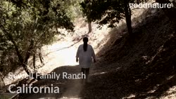 California Case Study Sewell Family Ranch 90sec video Landscape Mode GNK-A24A-013
