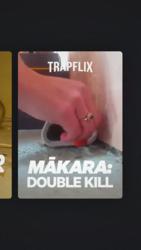 Video_Trapflix_MouseTrapDoubleStrike_Mākara